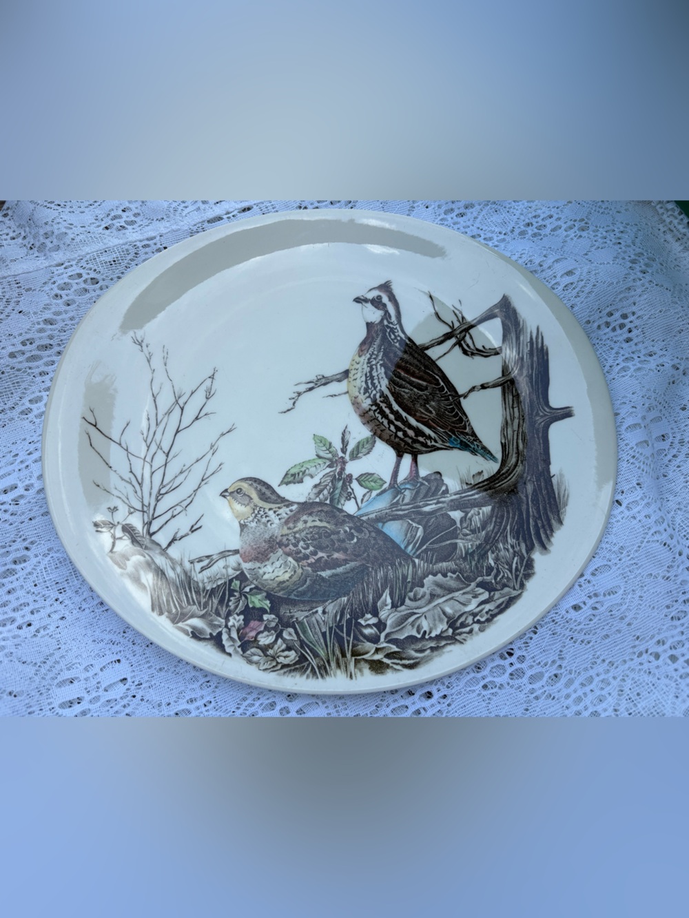 Johnson Brothers Game Birds Quail Dinner Plate England Vintage Wildlife Decor